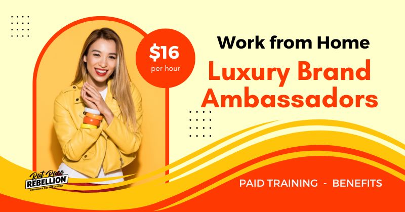 Work from home Luxury Brand Ambassadors - $16/hr, paid training, benefits